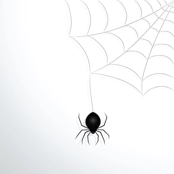 Örümcek ağı ve örümcek. — Stok Vektör