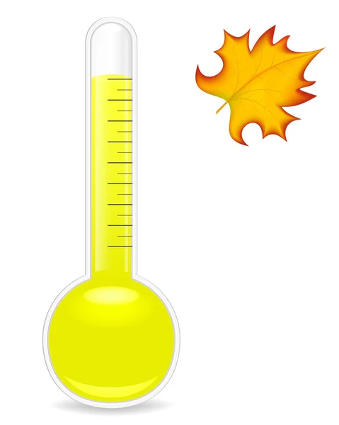 Termometre ve yaprak. Vektör çizim.