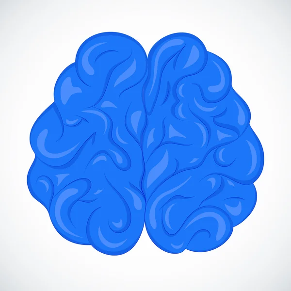 Vektör insan beyni.