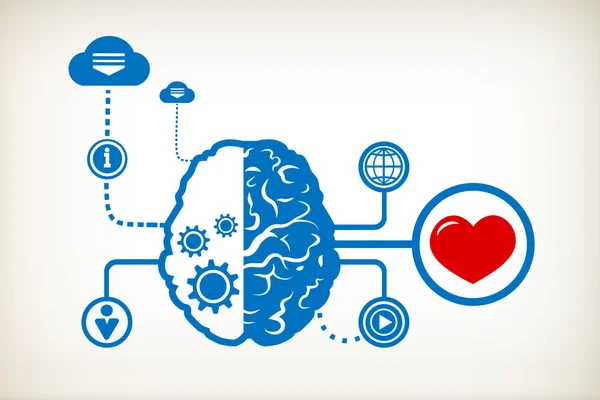 Сердце и абстрактный человеческий мозг — стоковый вектор
