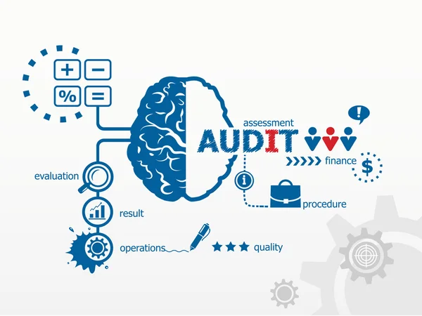 Auditování - analyzovat finanční výkaz společnosti. — Stockový vektor