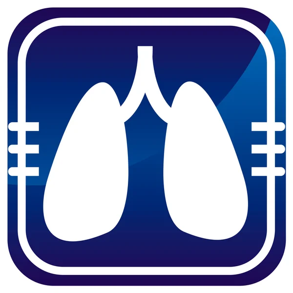 Human organs. Lungs. — Stock Vector