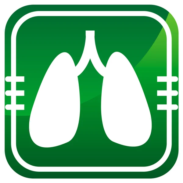 Human organs. Lungs. — Stock Vector