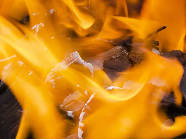 O fogo de carvão — Fotografia de Stock