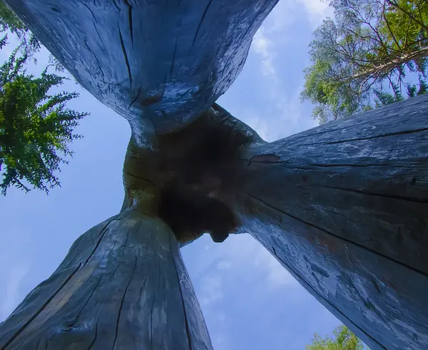 Soyut ahşap ayaklı