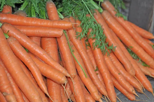 Karotten Auf Einem Markt — Stock Fotó