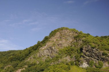 Weinberg bei Kroev an der Mosel