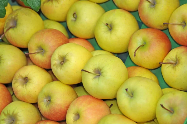 aepfel auf einem markt