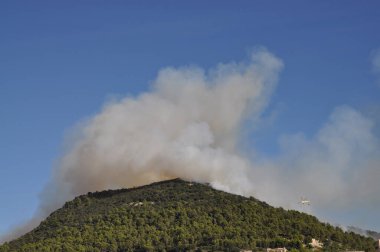Waldbrand auf einem Berg Mallorca 'da