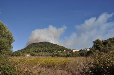 Waldbrand auf einem Berg Mallorca 'da
