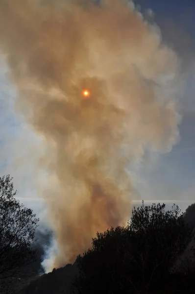Waldbrand auf einem Berg Mallorca 'da