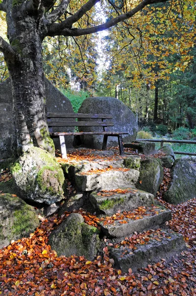 Banco Herbstlichen Wald — Fotografia de Stock