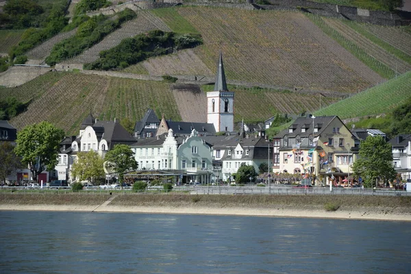 Assmannshausen Rhein Deutschland —  Fotos de Stock