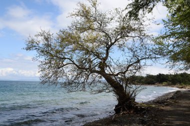 Dilek Yarımadası Ulusal Parkı bei Kusadasi, Tuerkei