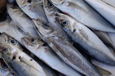 Fisch auf einem Markt