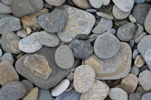 Kiesel Einem Strand — Zdjęcie stockowe