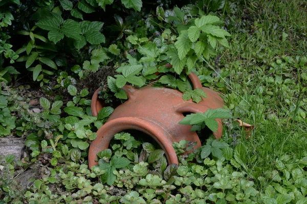 Einem Bahçesinde Amphore