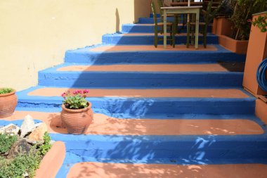 Blumen auf einer Treppe, Kreta