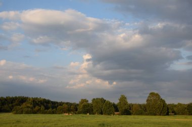 Wiesen ve Baeume mit Wolken