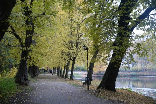 Jestem Schlossteich Darmstadt Kranichstein — Zdjęcie stockowe