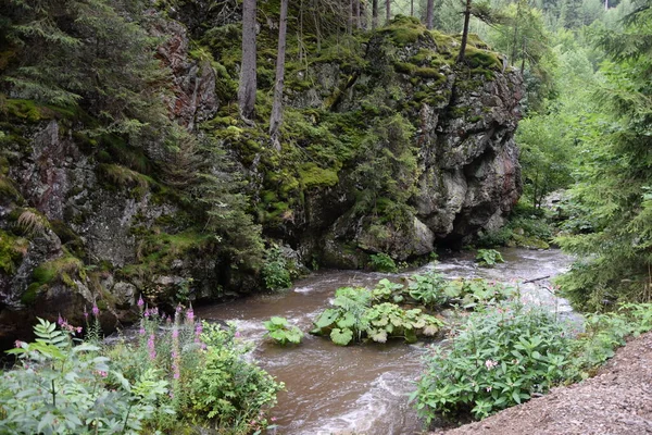 Steinachklamm im Fichtelgebirge, Bayern