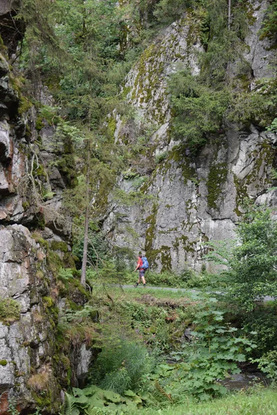 Wandern Der Steinachklamm — Photo