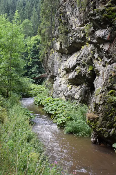 Steinachklamm Fichtelgebirge Bayern — Photo