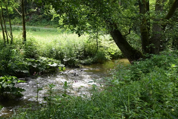 Steinachklamm im Fichtelgebirge, Bayern