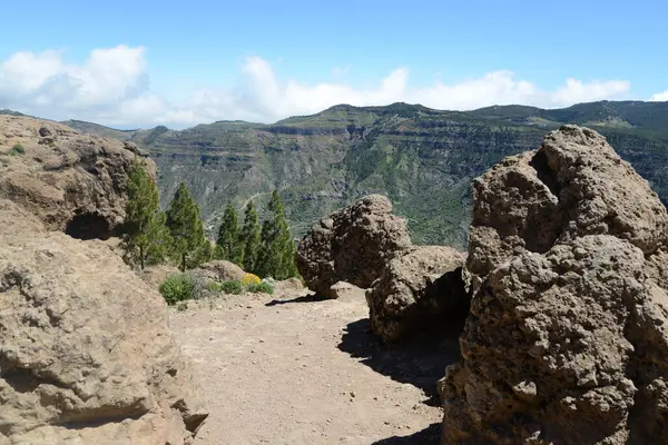 Auberge Auf Gran Canaria — Photo