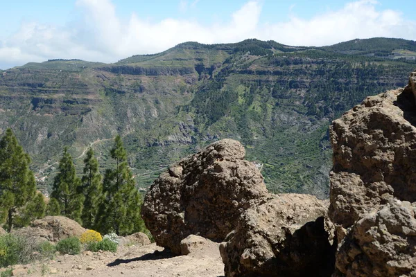 Auberge Auf Gran Canaria — Photo