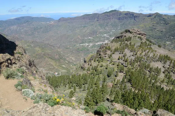 Landschaft Auf Gran Canaria — Photo
