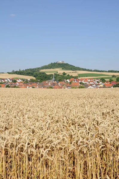 Getreidefeld Otzberg Odenwald — Stock Photo, Image