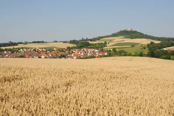  Getreidefeld am Otzberg im Odenwald