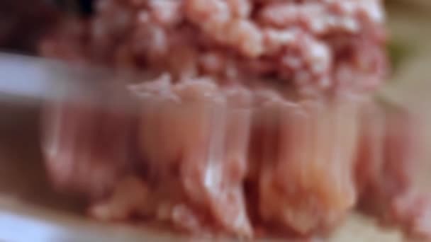 Closeup de carne picada é rolado através de uma peneira moedor de carne. Moedor de carne funciona e torce carne picada crua na cozinha — Vídeo de Stock