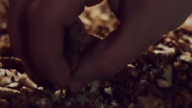 Ceviz makrosu. Mineral ve vitamin açısından zengin ürünler. Üretim sürecinde dişi el ceviz çekirdeklerini düzenliyor. 4K video