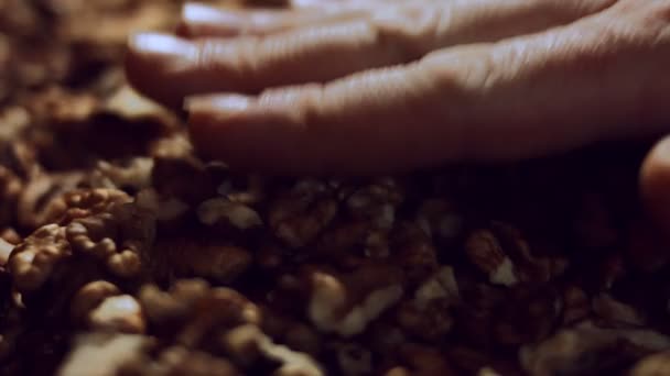 Macro noix. Produit riche en minéraux et vitamines. Main féminine organisant cerneaux de noix dans le processus de production. Vidéo 4K — Video