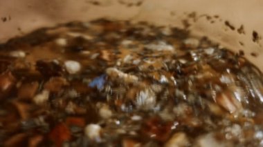 Şeffaf bir çaydanlıkta Sri Lanka 'dan gelen aromatik ve rahatlatıcı çay karışımı. Sağlıklı yaşam tarzı kavramı. 4K video. Yavaş çekim