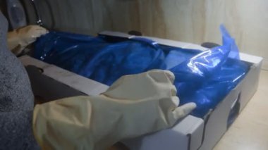 Eldivenli ellerin, donmuş tavuk bacaklarıyla dolu bir kutuyu açtığı yakın çekim görüntüsü. Buzla kaplı donmuş çiğ tavuk eti. 4k video