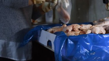 Eldivenli ellerin yakın plan görüntüsü tavuk bacağını bir kutudan ayrı plastik poşetlere paketliyor. Evde daha fazla kullanılmak üzere dondurulmuş etin süreci. 4K video