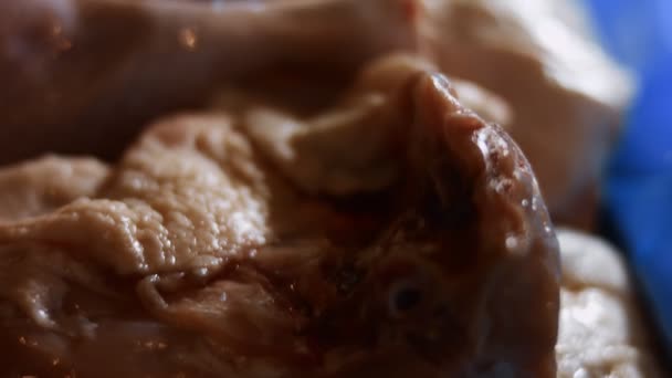Makro utsikt över en låda full av frysta kycklingben. Fryst rått kycklingkött täckt med is. 4k-video — Stockvideo