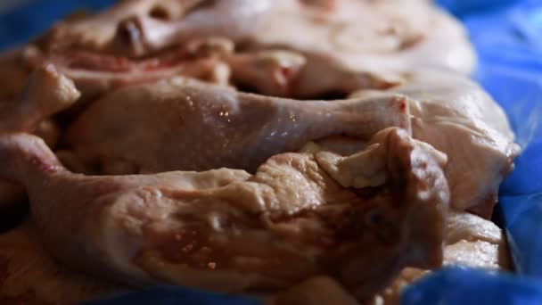 Close-up van een doos vol bevroren kippenpoten. Bevroren rauw kippenvlees bedekt met ijs. 4k video — Stockvideo