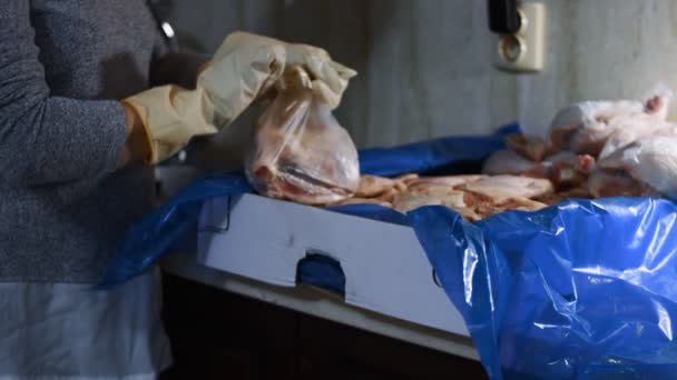 Eldivenli ellerin yakın plan görüntüsü tavuk bacağını bir kutudan ayrı plastik poşetlere paketliyor. Evde daha fazla kullanılmak üzere dondurulmuş etin süreci. 4K video — Stok video