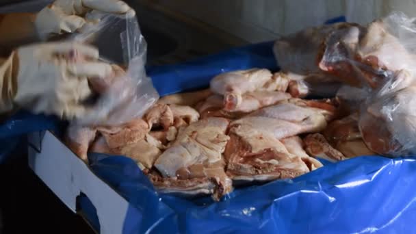 Großaufnahme der Hände in Handschuhen, die Hühnerkeulen aus einer Schachtel in einzelne Plastiktüten verpacken. Prozess des Einfrierens von Fleisch zur weiteren Verwendung zu Hause. 4K-Video — Stockvideo