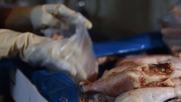 Tampilan makro tangan dalam sarung tangan kaki ayam dari kotak ke dalam kantong plastik individu. Proses pembekuan daging untuk digunakan lebih lanjut di rumah. Video 4K — Stok Video