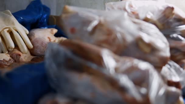 Widok z bliska na parę używanych rękawiczek leżących na pudełku z zamrożonymi nogami kurczaka. Proces pakowania i zamrażania mięsa drobiowego do dalszego wykorzystania w domu. Wideo 4K — Wideo stockowe