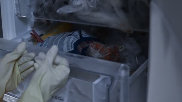 COVID-19パンデミックの間の肉と食料品の在庫。冷凍庫で鶏の肉の保存と組織。女は冷凍庫の全ての棚を調べてる。タイムラプスだ。4Kビデオ — ストック動画