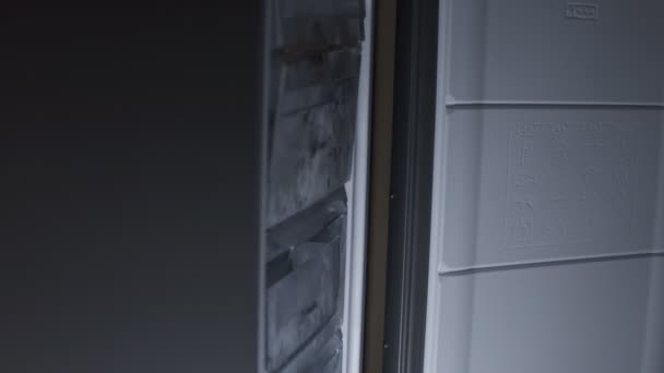 Close-up van de vrouwenhand die de deur van de vriezer sluit na controle van de binnenvoorraad. 4K-video — Stockvideo