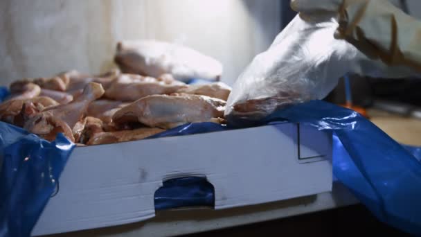 Close-up zicht van de handen in handschoenen verpakken kippenpoten uit een doos in individuele plastic zakken. Invriezen van vlees voor verder gebruik thuis. 4K-video — Stockvideo