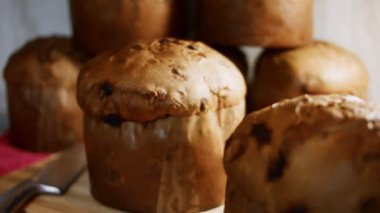Noel için geleneksel İtalyan hamur işleri ve kurutulmuş meyveler. Milan 'ın tatlı ekmeği Panettone. Yüksek kalite 4k görüntü