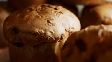 Noel için geleneksel İtalyan hamur işleri ve kurutulmuş meyveler. Milan 'ın tatlı ekmeği Panettone. Yüksek kalite 4k görüntü